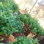 Profile Picture of Rosana Biela (@Rosana-Biela) on Facebook