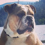 Profile Picture of giles curtis (@@zodiac1023) on Tiktok