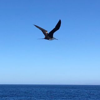 Profile Picture of Randy Estes (@randall8890) on Instagram