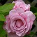 Profile Picture of Donna Fix (@donna.fix.58) on Facebook
