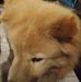 Profile Picture of Max Reilly (@max.reilly.779) on Facebook