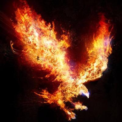 Profile Picture of Brian Alvinoon Twitter
