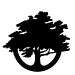 Profile Picture of Thomas W. Redfern DDS (@thomasw.redferndds) on Instagram