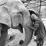 Profile Picture of Chris Souza (@christianosouza) on Instagram