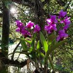 Profile Picture of Marianna Würgler (@wurglerm) on Instagram