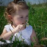 Profile Picture of Jeff McAfee (@mcafeej) on Instagram