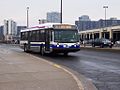 Profile Picture of Brampton Transiton Wikipedia