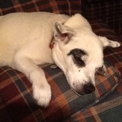 Profile Picture of James Strand (@Missypoop1) on Twitter