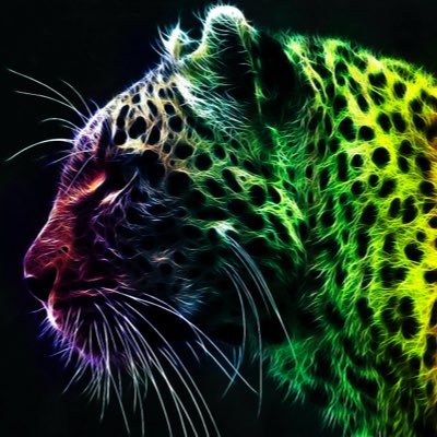 Profile Picture of Andrew Gennaro (@Andrew_Gennaro) on Twitter