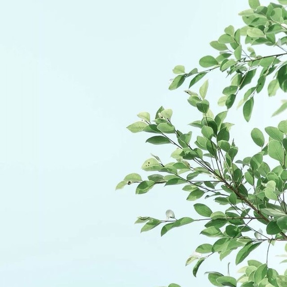 Profile Picture of Hannah Dederick (@hannahbaji) on Poshmark