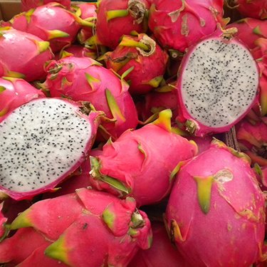 Profile Picture of Ivan Comas (@CampoOrganics) on Twitter