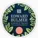 Profile Picture of Edward Bulmer Natural Paint (@edwardbulmerpaint) on Pinterest