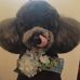 Profile Picture of Andrew Hoshino (@andrew.hoshino.338) on Facebook
