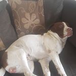 Profile Picture of alexmcmaster (@alexmcmaster5) on Instagram