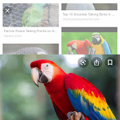 Profile Picture of Cody Ramirez (@codyramirez9439) on Youtube