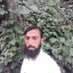 Profile Picture of Muhammed Liaqat Qureshi (@LiaqatMuhammed) on Twitter