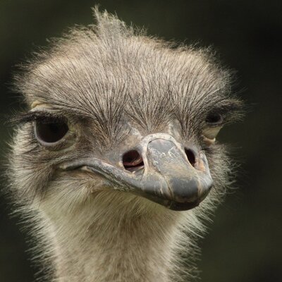 Profile Picture of Jason Mulcahy (@muljao) on Twitter