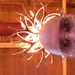 Profile Picture of Joseph V. Fodor (@josephvfodor) on Pinterest