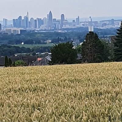 Profile Picture of Hawislas12 (@GebraiG) on Twitter