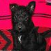 Profile Picture of Lorraine Braham Reinhardt (@lorraine1407) on Pinterest