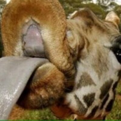 Profile Picture of Aaron Beckett (@AaSvebx) on Twitter