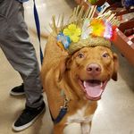 Profile Picture of Randy Neeley (@theadventuresofrandykins) on Instagram