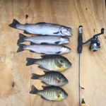 Profile Picture of Jacob heidtman (@fish_the906) on Instagram