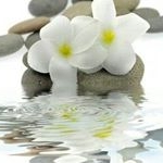 Profile Picture of sonia almanza moreno (@soniaalmanzamoreno) on Instagram