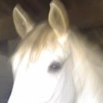 Profile Picture of David Coxon (@coxond) on Instagram