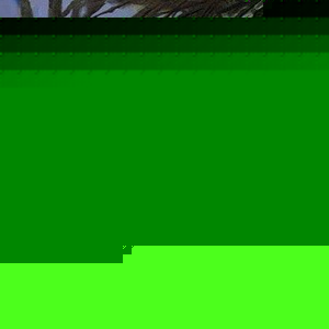 John Dingeldine - Myspace Profile Picture of John Dingeldine (@johnthetaxmaster) on Myspace