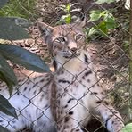 Profile Picture of Tino Steinhilber (@tino.steinhilber.7) on Facebook