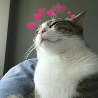 Profile Picture of Alice Rangel (@alice-rangel-1) on Quora