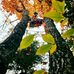 Profile Picture of David Waloch (@david.waloch.56) on Facebook
