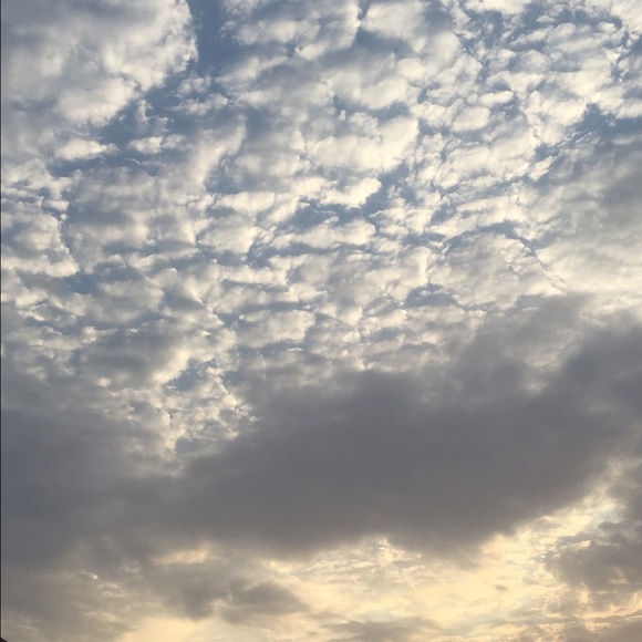 Profile Picture of Afnan Mohammed (@afnan69) on Poshmark