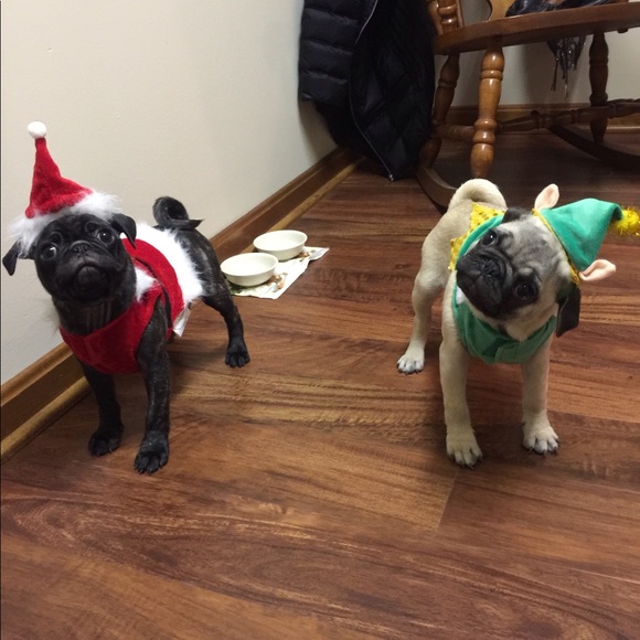 Profile Picture of Jake Mccandless (@jakemccandless) on Poshmark