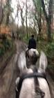 Profile Picture of   Another days hunting 🦊🐶🐎... (@soph_2998) on Tiktok