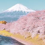 Profile Picture of all.isonhaley (@all.isonhaley) on Instagram