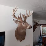 Profile Picture of Darren O'Donnell (@darren.o.donnell.242701) on Facebook