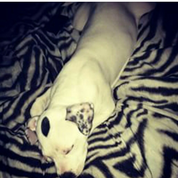 Profile Picture of Julio Ortiz (@papiiiiog) on Poshmark