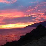 Profile Picture of Aimee Solomon Ceraso (@amceraso) on Instagram