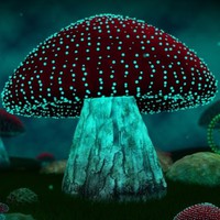 Profile Picture of Benjamin Byerly (@benjamin-byerly-3) on Quora