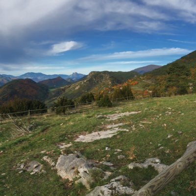 Profile Picture of Guillermo Bello (@guixermu_23) on Twitter