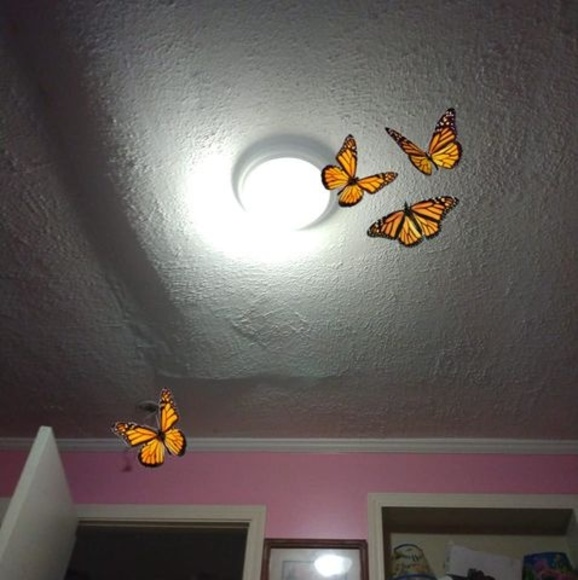 Profile Picture of Katherine Chase (@kathyadams0329) on Poshmark