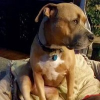 Profile Picture of Paul Ebbinghouse (@paul-ebbinghouse-1) on Quora