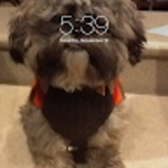 Profile Picture of Michael Tai (@mikemilo246) on Poshmark