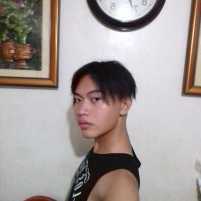 Profile Picture of Abraham Paulino (@avahx_00) on Twitter