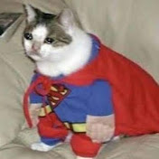 Profile Picture of Steven Lazaro (@TronVideosTutosyMasCreper) on Youtube