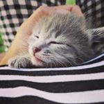 Françoise Rocher - Instagram Profile Picture of Françoise Rocher (@francoise_rocher12) on Instagram