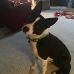 Profile Picture of Kristi S Irving (@kristisirving) on Instagram