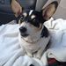 Profile Picture of Randy Oliver (@oneucb4u) on Pinterest